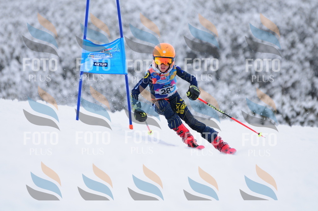 C3015 | holidayphoto