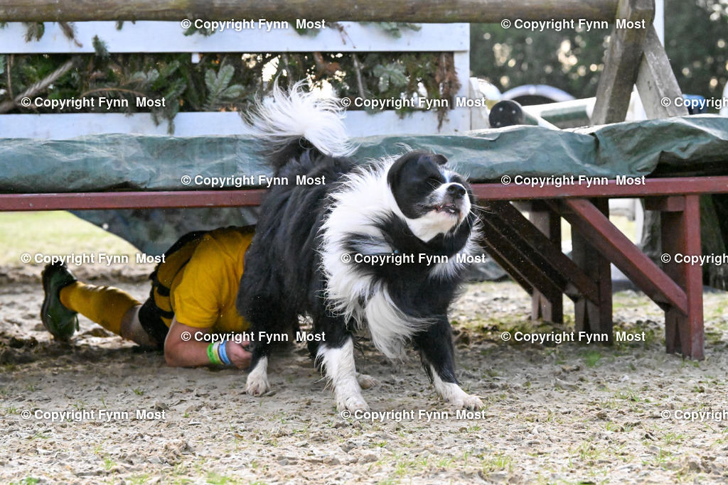 DSC_3561 | Hallo und herzlich Willkommen auf meiner Shop-Seite Fynn Most.

Ich wünsche Dir viel Spaß beim stöbern durch die Bilder, wenn Du Fragen hast oder Bilder vermisst, kannst du mir gerne eine Nachricht schreiben. - Realisiert mit Pictrs.com