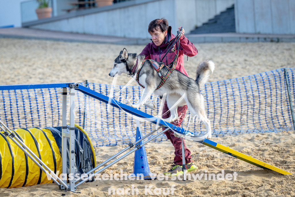 0953_ZZ92983 | kk-dogfotos