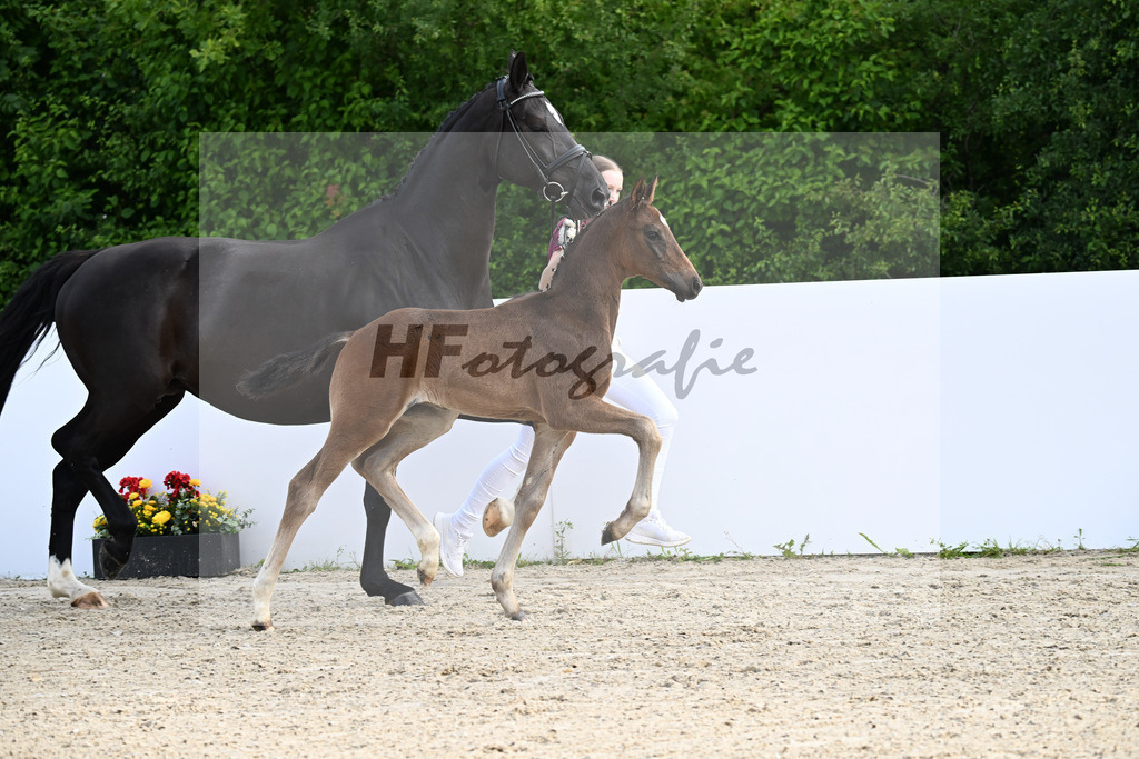 Escaneno x San Amour I_HF_Ederle_13250155 | hf-fotografie - Realizzato con Pictrs.com