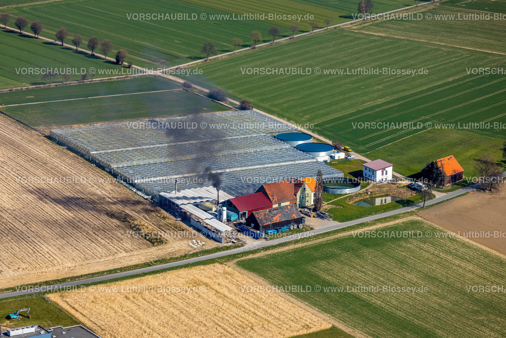 Werl220301185 | Luftbild, Landwirtschaftlicher Betrieb Gartenbau Stemann, Werl, Soester Börde, Nordrhein-Westfalen, Deutschland