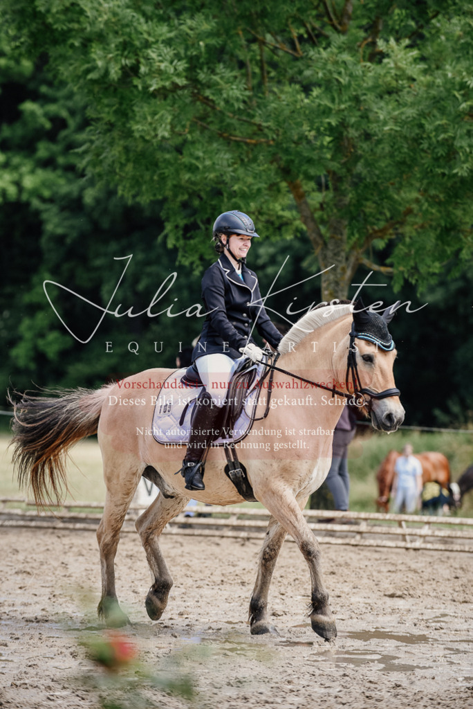 DSC_1622 | Pferde- und Turnierfotografie in Westsachsen. Pferdeportraits, Auftragszeichnungen und intuitive Kunst.