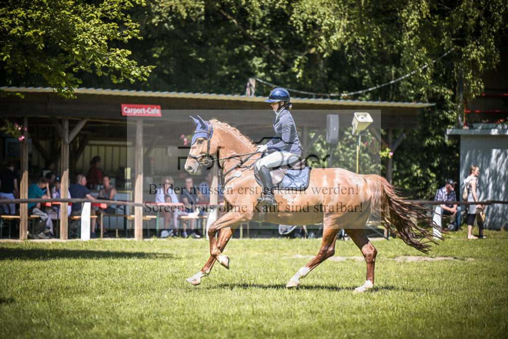 DOS_3634 | Entdecke hochwertige Reitturnierfotos von Foto Oger. Professionell, emotional und authentisch – jetzt Lieblingsmomente im Shop bestellen.Deutschlandweite Turnierfotografie. - Realisiert mit Pictrs.com
