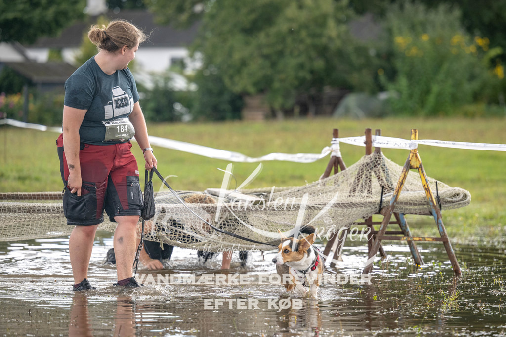 1458_ZZ90556 | kk-dogfotos