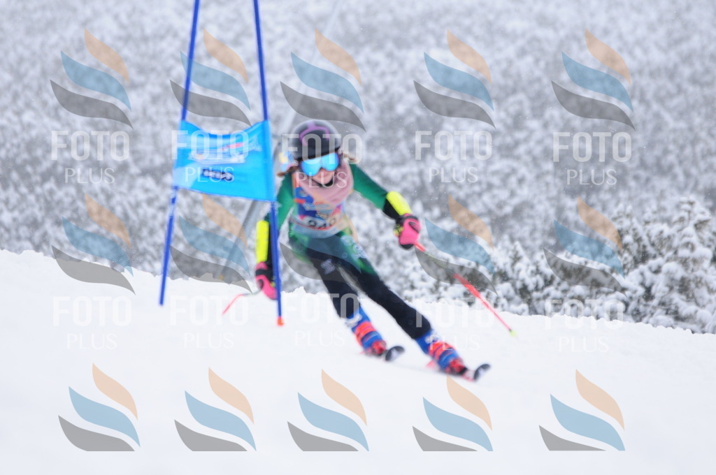 C2612 | holidayphoto