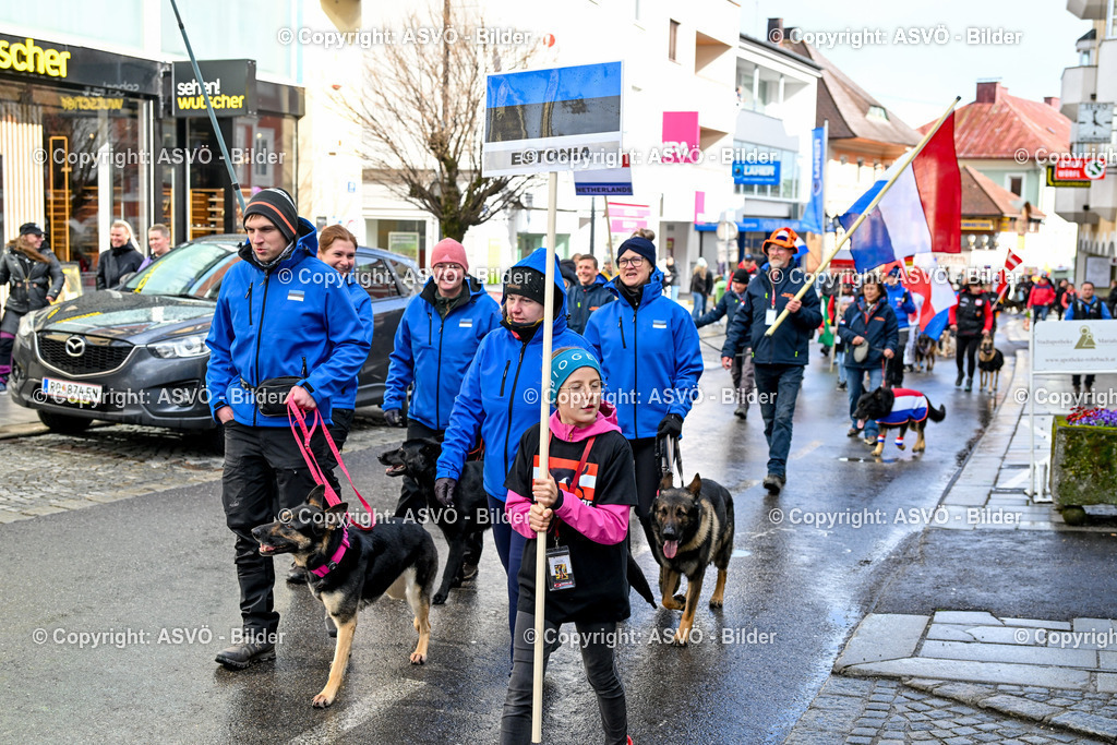 ASVÖ_ Tracking Dog World Championship 2025_ 31.03.2025-199 | 31.03.2025, AUT, ASVÖ, Tracking Dog World Championship // FCI IGP Fährtenhundeweltmeisterschaft 2025©fodo.media / Harald Dostal - Realisiert mit Pictrs.com