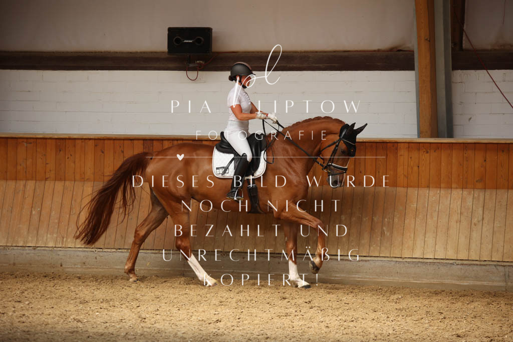 IMGS1381 | pl-fotografie