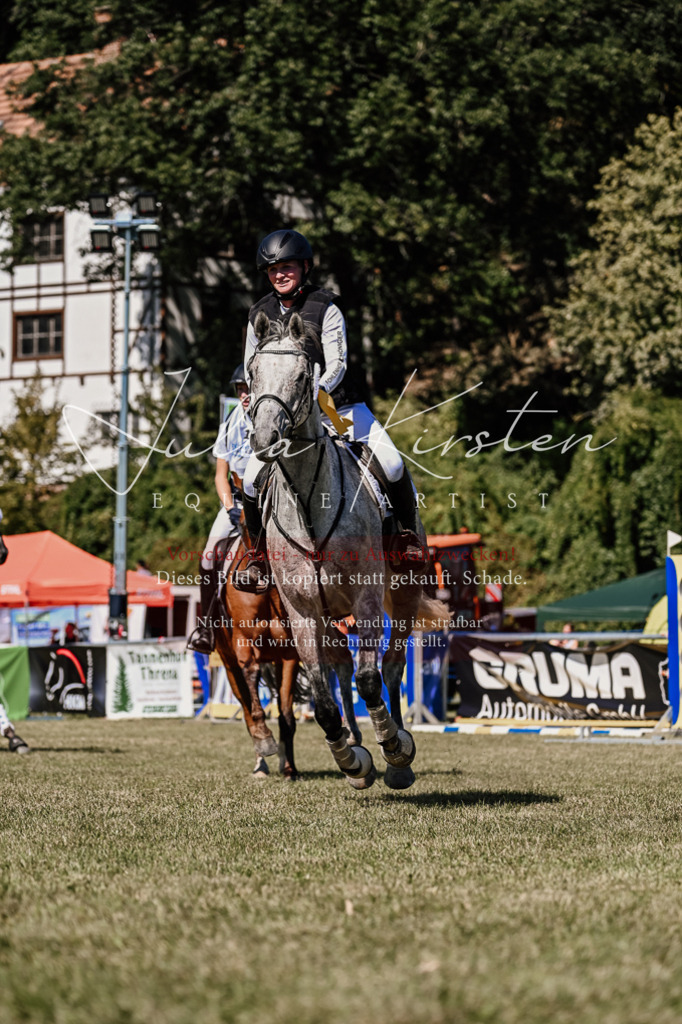 DSC_2595 | Pferde- und Turnierfotografie in Westsachsen. Pferdeportraits, Auftragszeichnungen und intuitive Kunst.