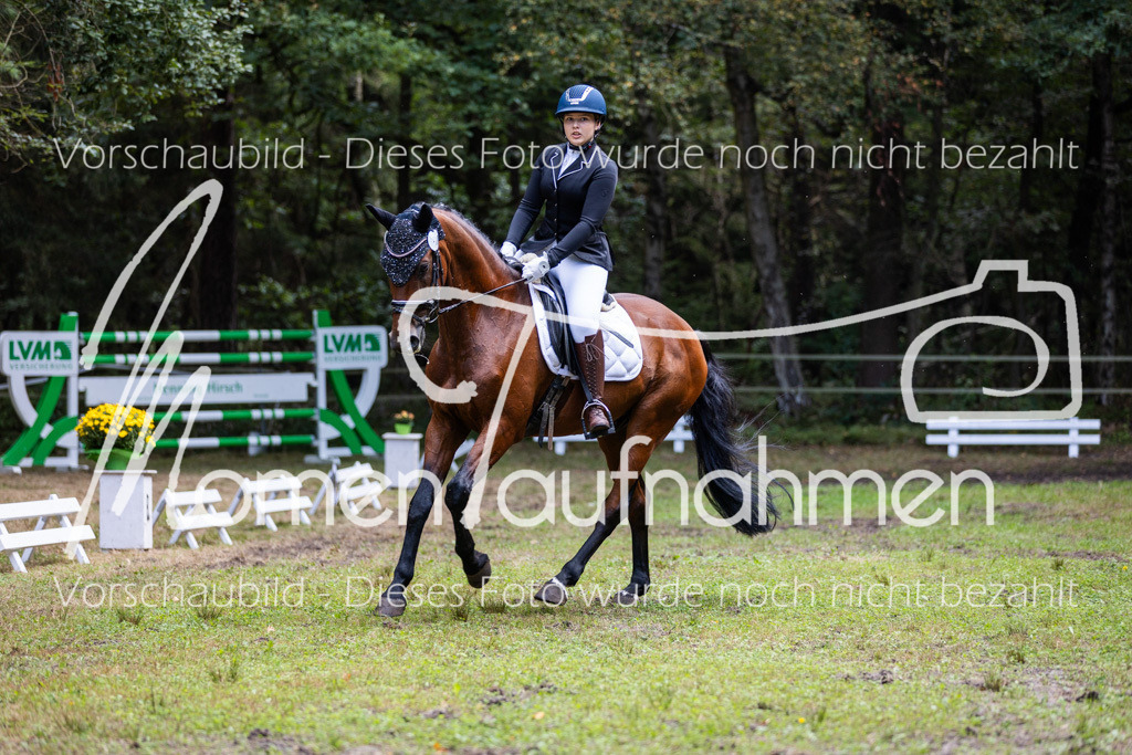 HB-Dressur-WB-031 | MomenTaufnahmen Pferdesportfotos