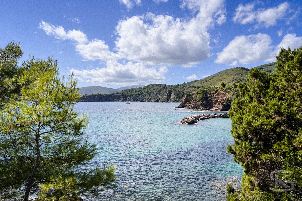 Versteckte Bucht: Blick durch Pinien auf das azurblaue Elba – Wandbild | Blick aus erhöhter Position durch grüne Pinienzweige auf eine Meeresbucht auf Elba mit kristallklarem Wasser, Felsformationen an der Küste und weißen Schönwetterwolken über den Hügeln. - Realisiert mit Pictrs.com