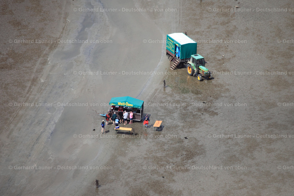 3090905 | Wattwanderung im Hamburgischen Wattenmeer