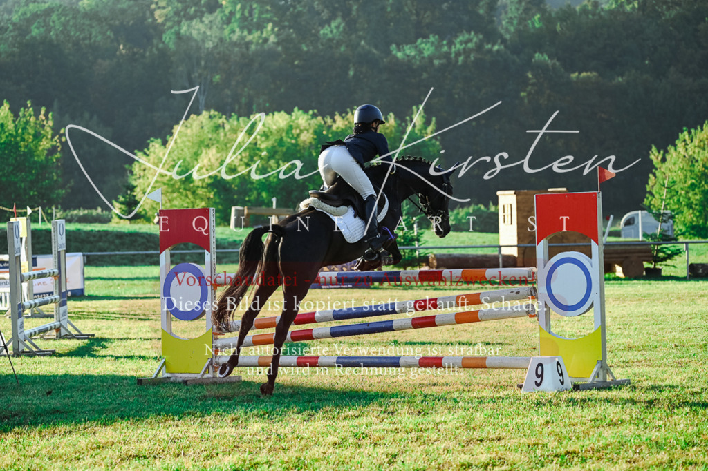 DSC_4092 | Pferde- und Turnierfotografie in Westsachsen. Pferdeportraits, Auftragszeichnungen und intuitive Kunst.