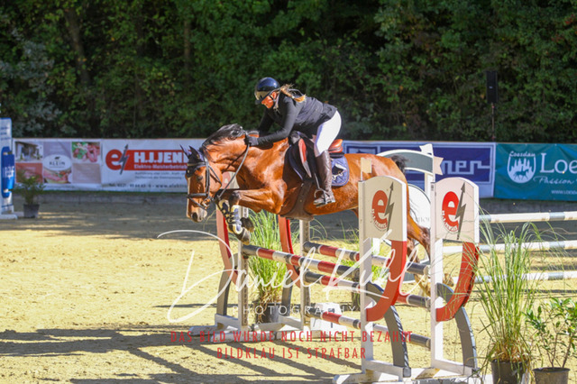 DKP42935 | Turniersportfotografie; Pferdefotografie; Dressurfotografie