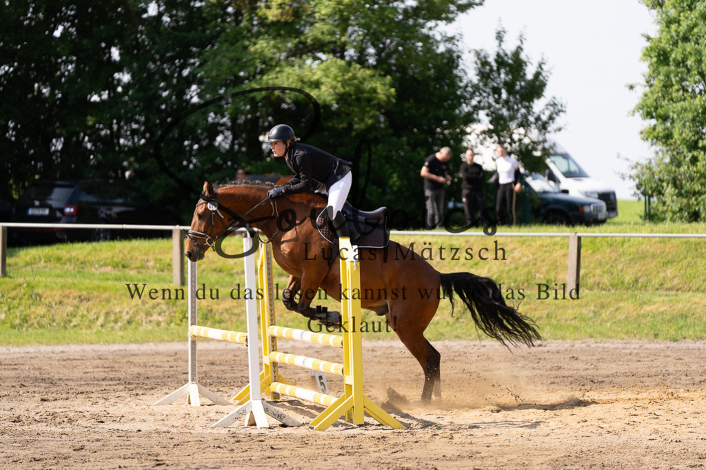A7507377 | Turnier/Reitfotograf