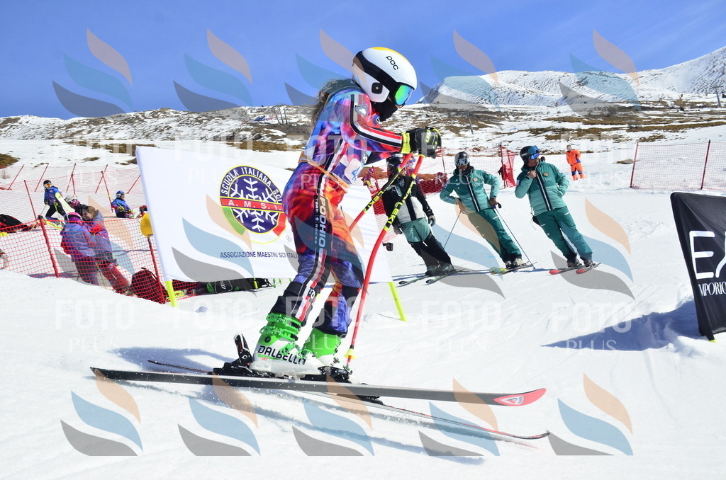 _ELE0092 | holidayphoto