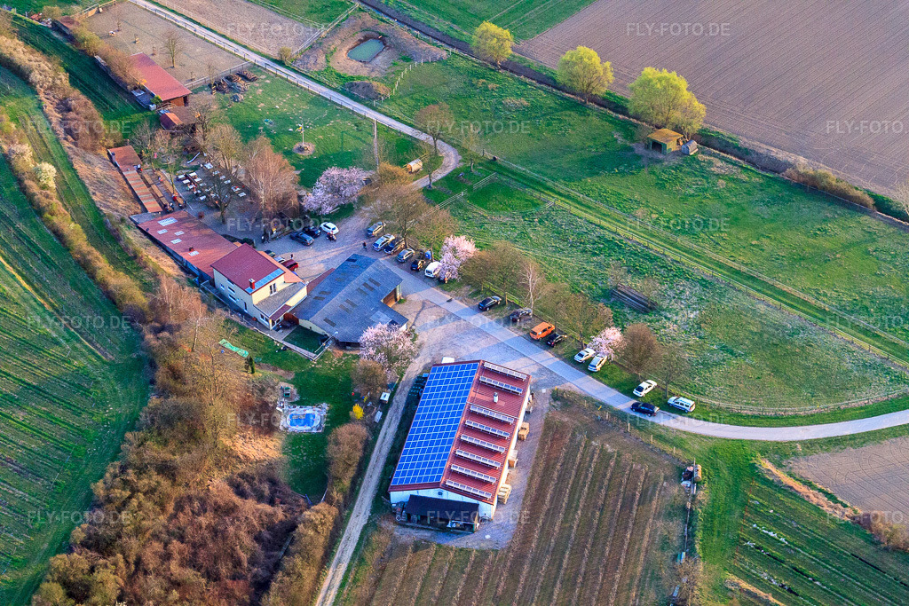Luftbild: Weingut Anton (Produktion) Am Schambach in Herxheim bei Landau im Bundesland Rheinland-Pfalz in Deutschland. Foto: IMG_38943.jpg vom 25.03.2011 durch Werner Riehm/FLY-FOTO.deWEINGUT ANTON | Weine aus Herxheim bei Landau