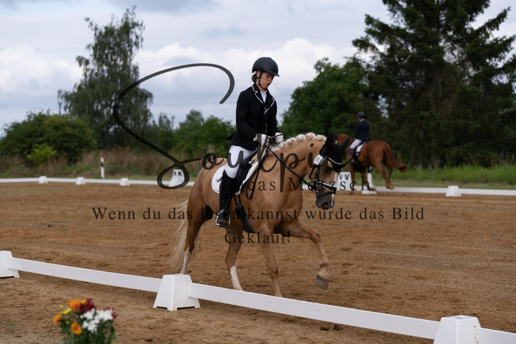 A7V03810 | Turnier/Reitfotograf