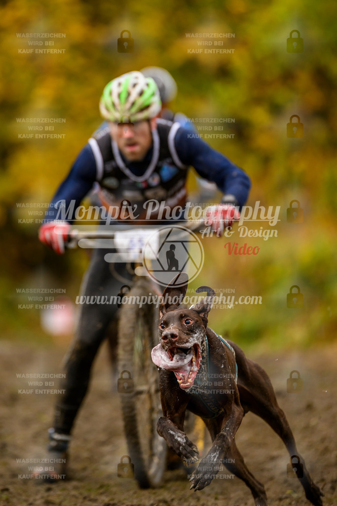 MompixPhotography_ICF_WC_2024_SA_DS_-118 | PayLife