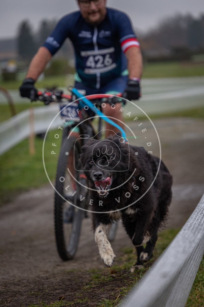 CaniXpix_0L8A1770 | Hundefotografie, Tierfotograf, Pfotenfotografie, Fotoshooting Hund, Hunde Portrait, Hundesport, Hundeportraits, Heideshooting, Hunde, Sportfotograf, Hundefotograf, Turnierhundsport, THS,  - Realisiert mit Pictrs.com