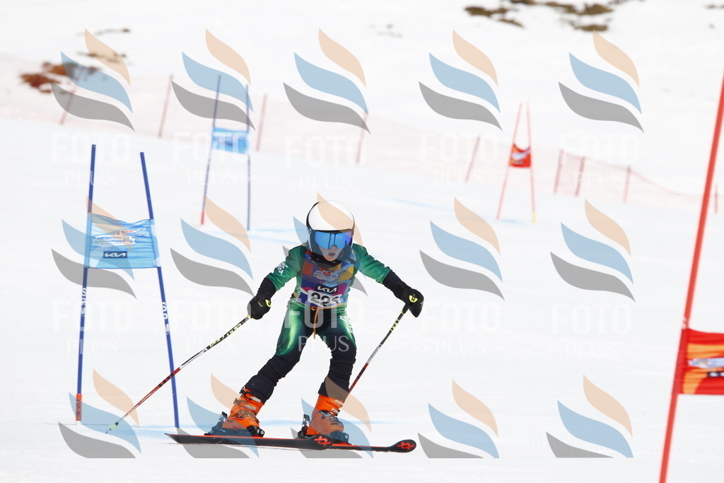 _U3G5755 | holidayphoto