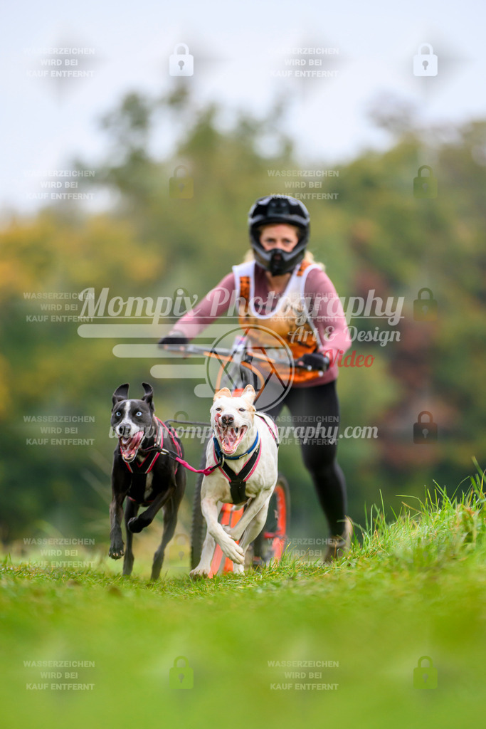 MompixPhotography_CDLBDB2025_DI_DS-23 | PayLife