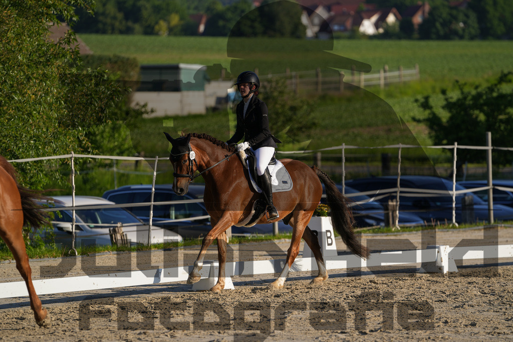 DSC02647 | Julian Held Fotografie - Realisiert mit Pictrs.com