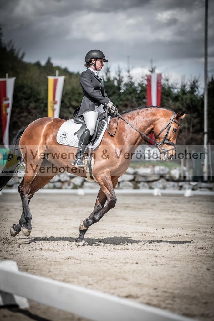 DSC_2379 | equestrian-live-com
