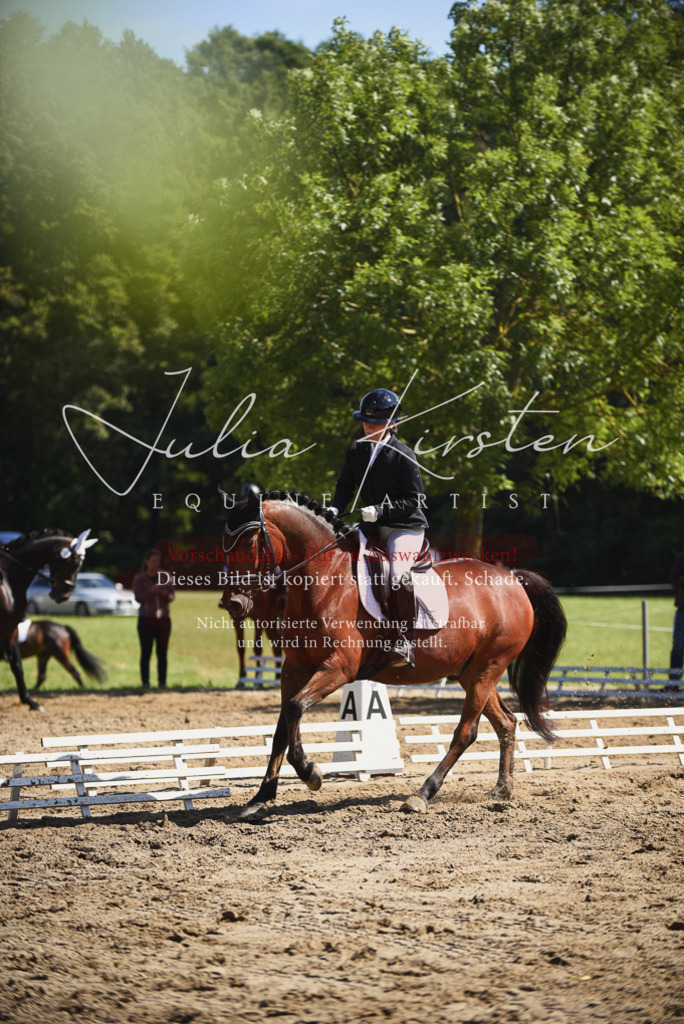 DSC_0389 | Pferde- und Turnierfotografie in Westsachsen. Pferdeportraits, Auftragszeichnungen und intuitive Kunst.