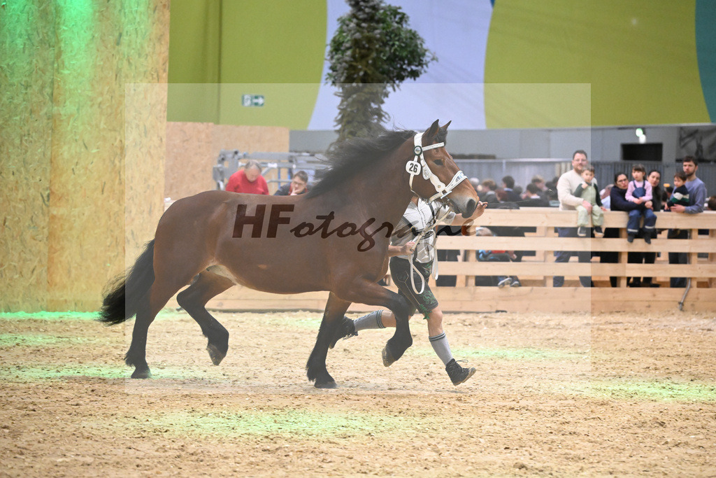 Kat-Nr. 26 Finerl v. Rissbach_Rasshofer_1260382 | hf-fotografie - Realisiert mit Pictrs.com