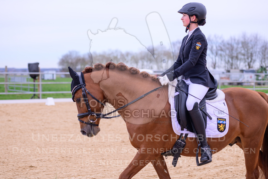 09042026-Mammendorf-Prfg07-0032 | Fokus Hufschlag Fotografie - Realisiert mit Pictrs.com