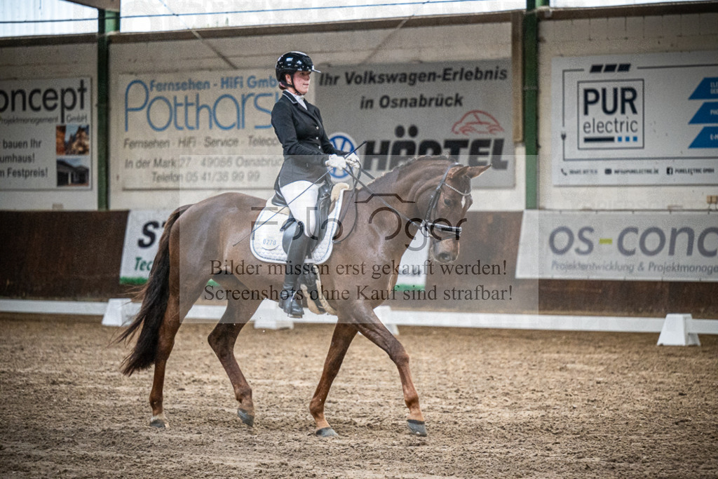 DOS_1250 | Entdecke hochwertige Reitturnierfotos von Foto Oger. Professionell, emotional und authentisch – jetzt Lieblingsmomente im Shop bestellen.Deutschlandweite Turnierfotografie. - Realisiert mit Pictrs.com