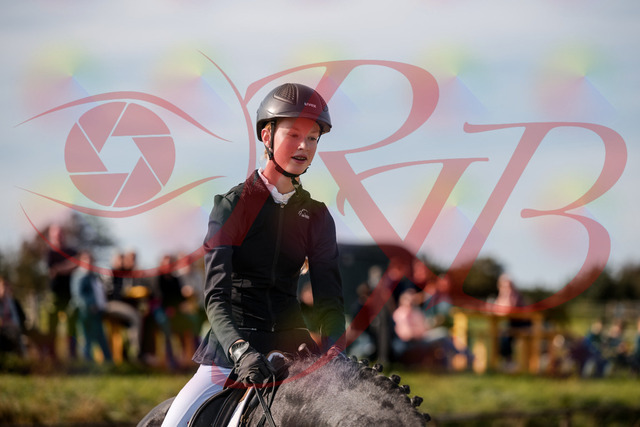2026_10_03_Siefer-Hof_115836_Z63_32035459 | Professionelle Reitsport-, Turnier- und Eventfotografie von Robert Broda. Galerien mit ausgewählten und bearbeiteten Bildern direkt online ansehen und bestellen.