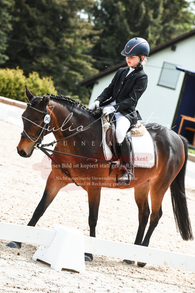 20230518_JK-Röhrsdorf-11-0141 | Pferde- und Turnierfotografie in Westsachsen. Pferdeportraits, Auftragszeichnungen und intuitive Kunst.
