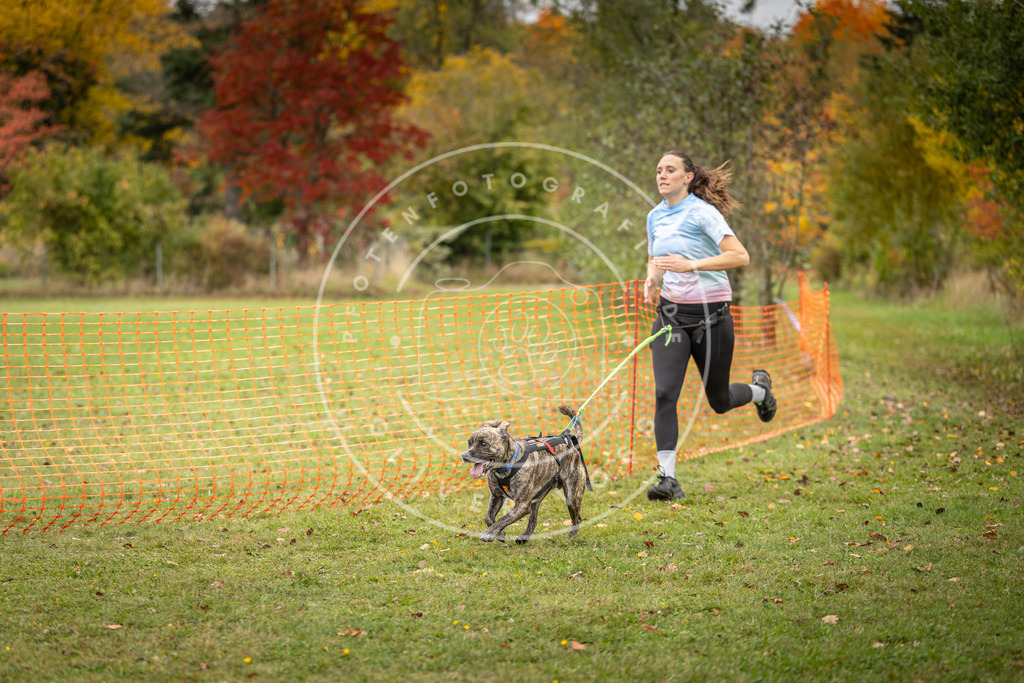Pfotenfotografie_DV3A4841 | Hundefotografie, Tierfotograf, Pfotenfotografie, Fotoshooting Hund, Hunde Portrait, Hundesport, Hundeportraits, Heideshooting, Hunde, Sportfotograf, Hundefotograf, Turnierhundsport, THS,  - Realisiert mit Pictrs.com