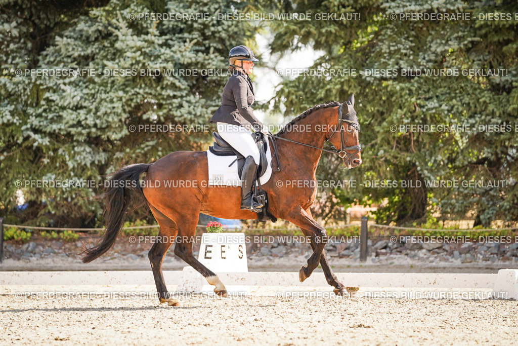 DSC00597 | Pferdegrafie