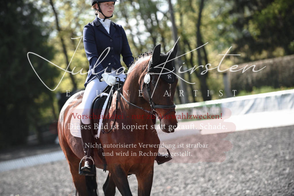 20230513_JK-Röhrsdorf-14-278 | Pferde- und Turnierfotografie in Westsachsen. Pferdeportraits, Auftragszeichnungen und intuitive Kunst.