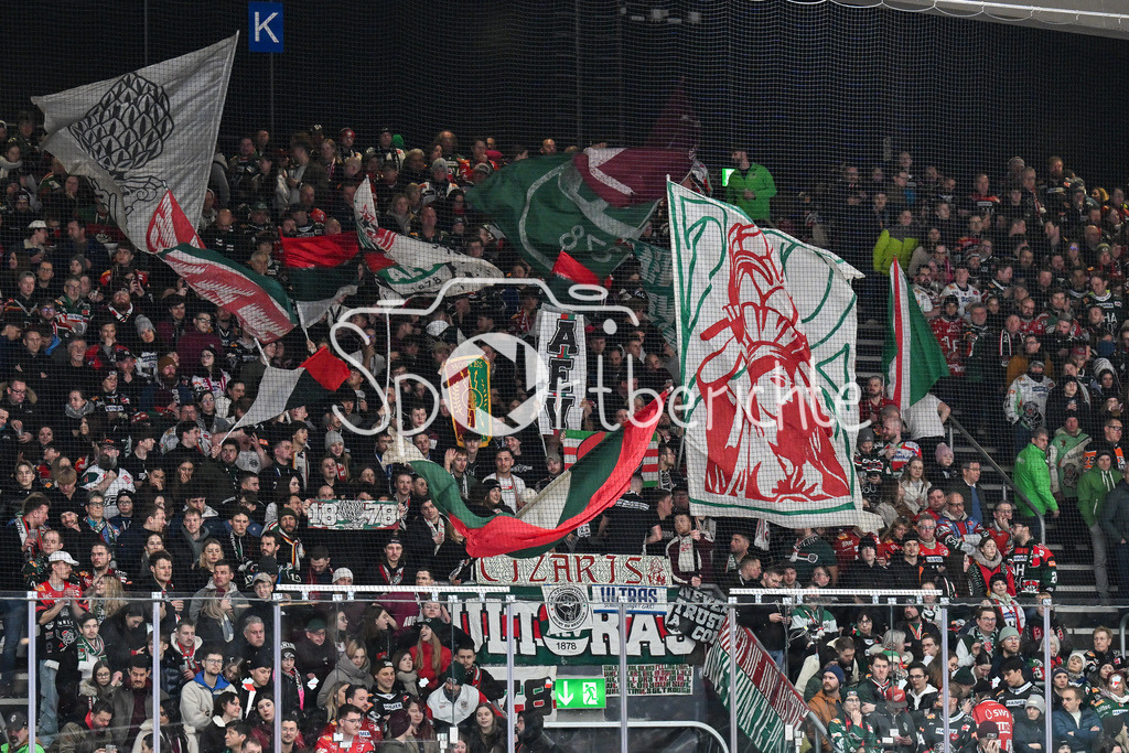 Augsburger Panther - Löwen Frankfurt | AUGSBURG, GERMANY - 16. JANUARY: Ultras AEV während dem Match zwischen den Augsburger Panthern und den Löwen Frankfurt am 40. Spieltag der penny DEL im Curt Frenzel Stadion