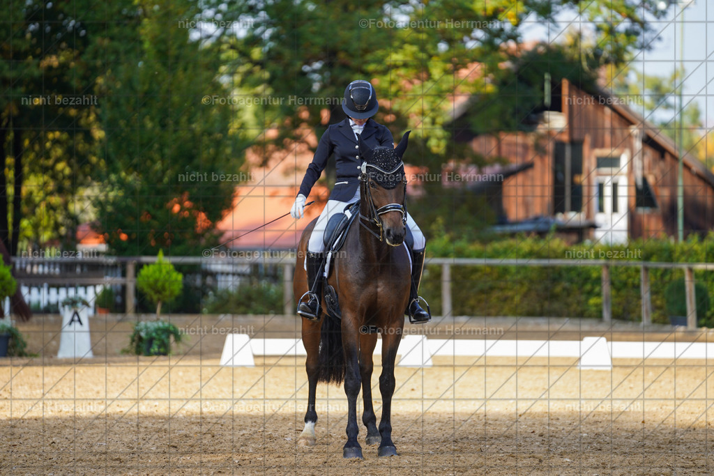 20221007-FAH00095 | Diessen am Ammersee, 2022, Dressur- und Springturnier, Reitsportbilder, Turnierfotografen Bayern, Pferdefotografen, Fotoagentur Herrmann, Turnierbilder