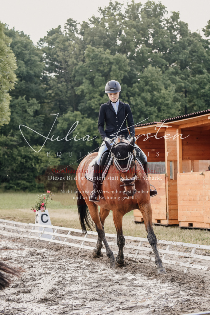 DSC_8143 | Pferde- und Turnierfotografie in Westsachsen. Pferdeportraits, Auftragszeichnungen und intuitive Kunst.
