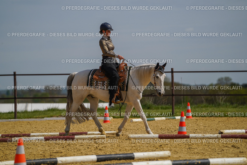 DSC04749 | Pferdegrafie