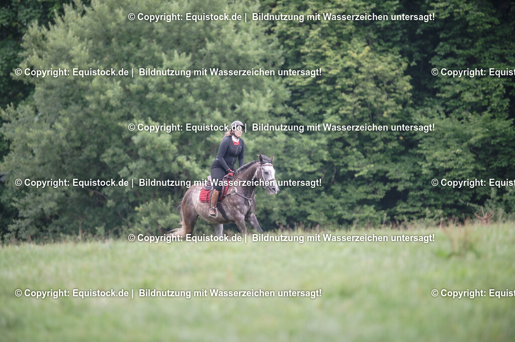 20250726_Vielseitigkeitslehrgang-Marbach_0279 | Foto: Thomas Hartig