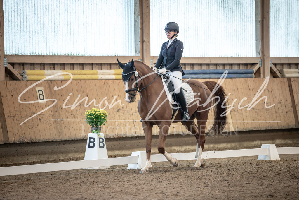 20251011-_3LI6029 | Tierfotografie Pferde, Hunde, Katzen, Haustiere.
Turnierfotografie Reitturniere, Reiten, Springreiten, Dressur in Hanau, dem Main-Kinzig-Kreis und dem Rhein-Main- Gebiet um Frankfurt