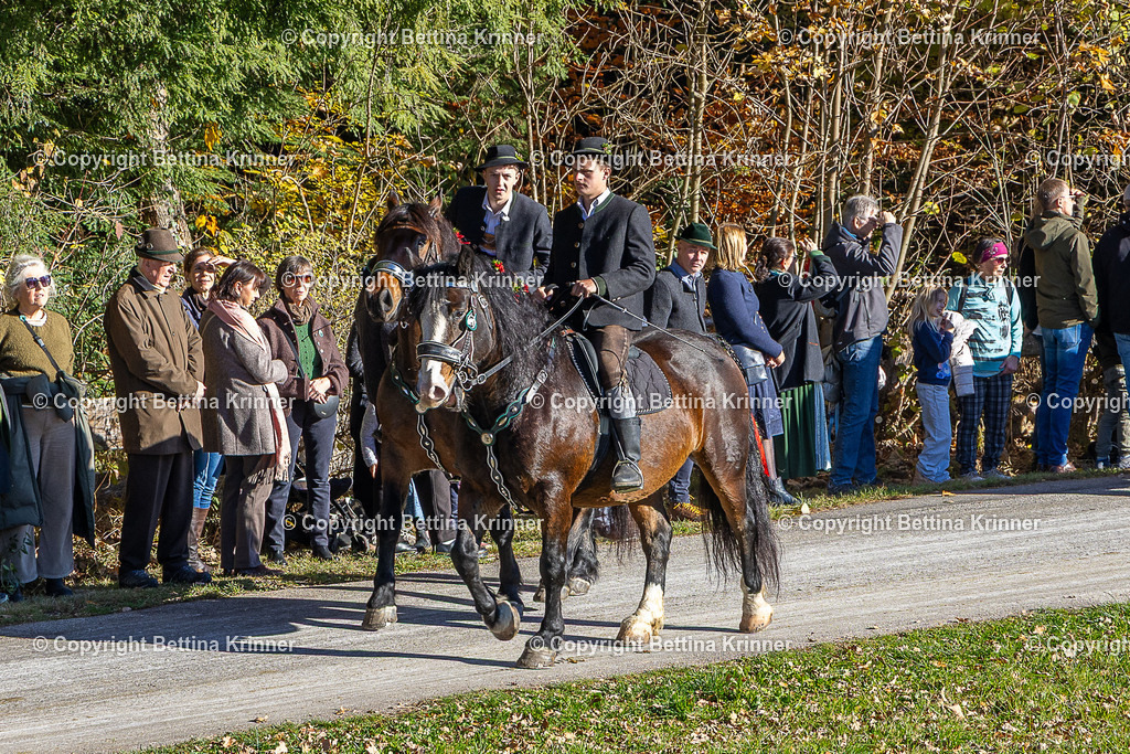 LBT25-686 | foto-bettina-krinner - Realisiert mit Pictrs.com