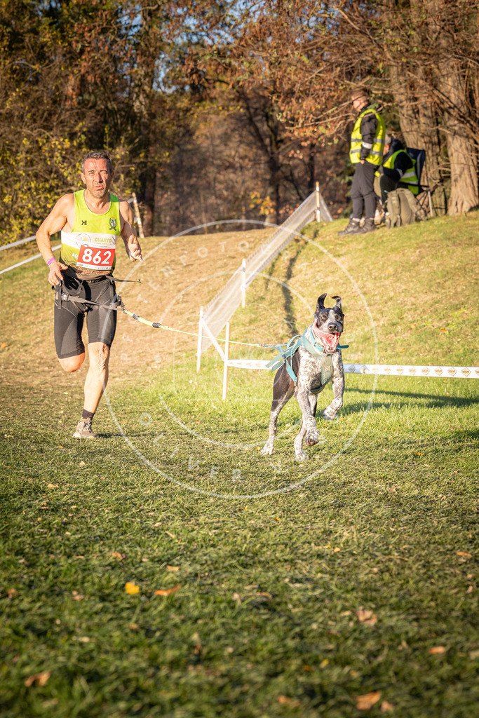 CaniXpix_0L8A0960 | Hundefotografie, Tierfotograf, Pfotenfotografie, Fotoshooting Hund, Hunde Portrait, Hundesport, Hundeportraits, Heideshooting, Hunde, Sportfotograf, Hundefotograf, Turnierhundsport, THS,  - Realisiert mit Pictrs.com