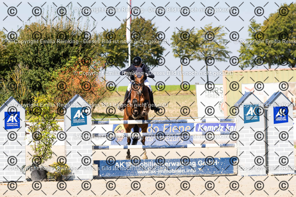 CL5A9800 | Emilia Reinking Fotografie - Realisiert mit Pictrs.com