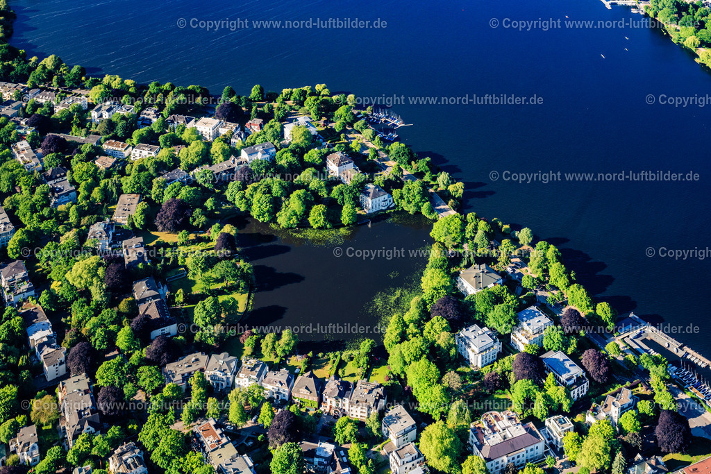 Hamburg_Uhlenhorst_Feenteich_ELS_2731240525 | HAMBURG 24.05.2025 Tümpel- Wasserfläche und Teich- Oase des Feenteich mit der Feenteichbrücke an der Schöne Aussicht im Ortsteil Uhlenhorst in Hamburg, Deutschland. // Pond water surface and pond oasis of the Feenteich with the Feenteichbruecke at the Schoene Aussicht in the district Uhlenhorst in Hamburg, Germany. Foto: Martin Elsen