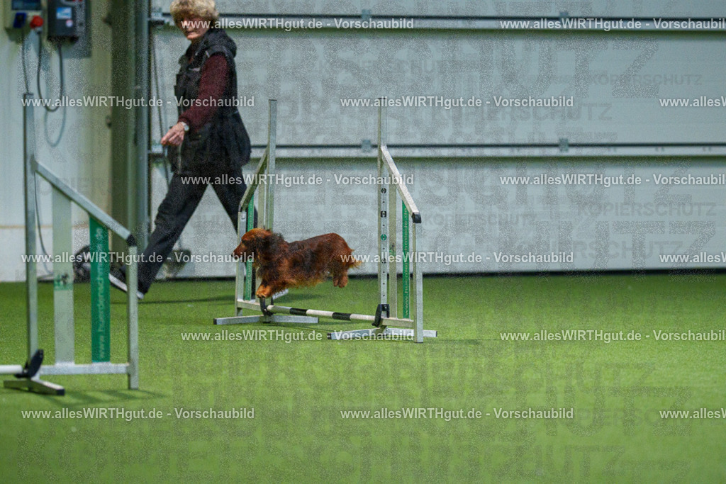 7R506878 | Professionelle Tierfotografie in Mönchengladbach von Daniel Wirth (allesWIRTHgut). Liebevolle & natürliche Bilder von Hunden & Katzen für unvergessliche Erinnerungen.