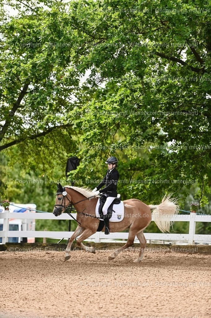 20230716_10-1_Reiter-WB Schritt - Trab - Galopp_0208 | equistock