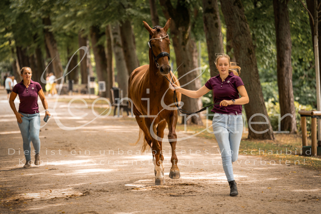 FrPfM00272 | Leoni Ertmer Photography - Realisiert mit Pictrs.com
