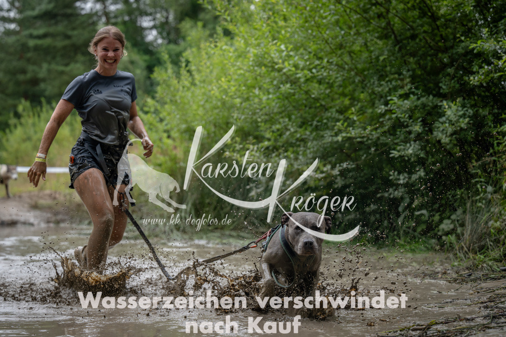 1438_ZZ92679 | kk-dogfotos